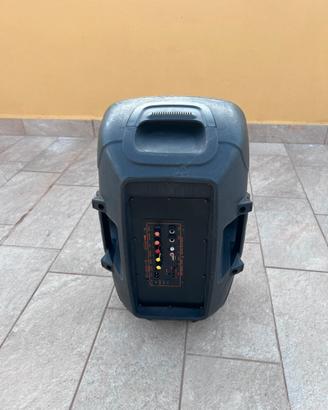 Cassa acustica bluettoth Attiva Amplificata
