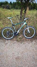 MTB Vektor 