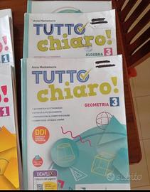 Tutto in chiaro 3 libro di matematica  geometria 