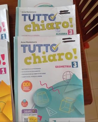 Tutto in chiaro 3 libro di matematica  geometria 