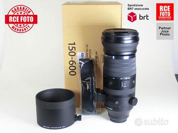 OM System M.Zuiko ED 150-600 F5-6.3 IS (Olympus)