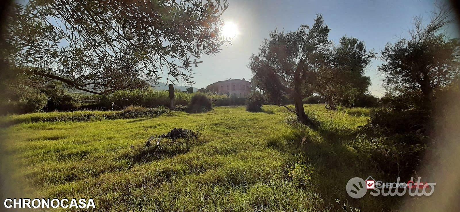 Terreno con rudere - Spartà - Vista 4