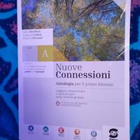 libro nuove connessioni (antologia)