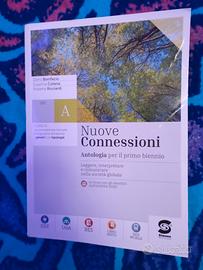 libro nuove connessioni (antologia)