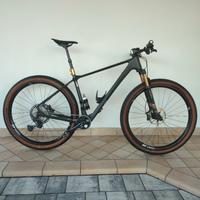 MTB  Lee Cougan Rampage air taglia L 