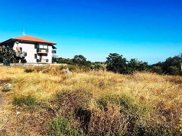 Terreno agricolo 2000 mq no recintato pianeggiante