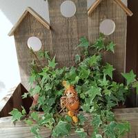 vaso in legno 
