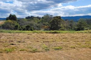 Terreno edificabile nella Riviera del Brenta