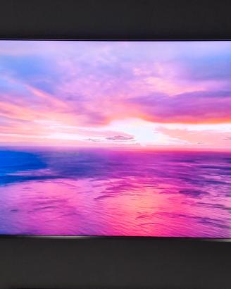 tv Qled 65 pollici