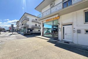 ATTIVITÀ A SANT'EGIDIO ALLA VIBRATA