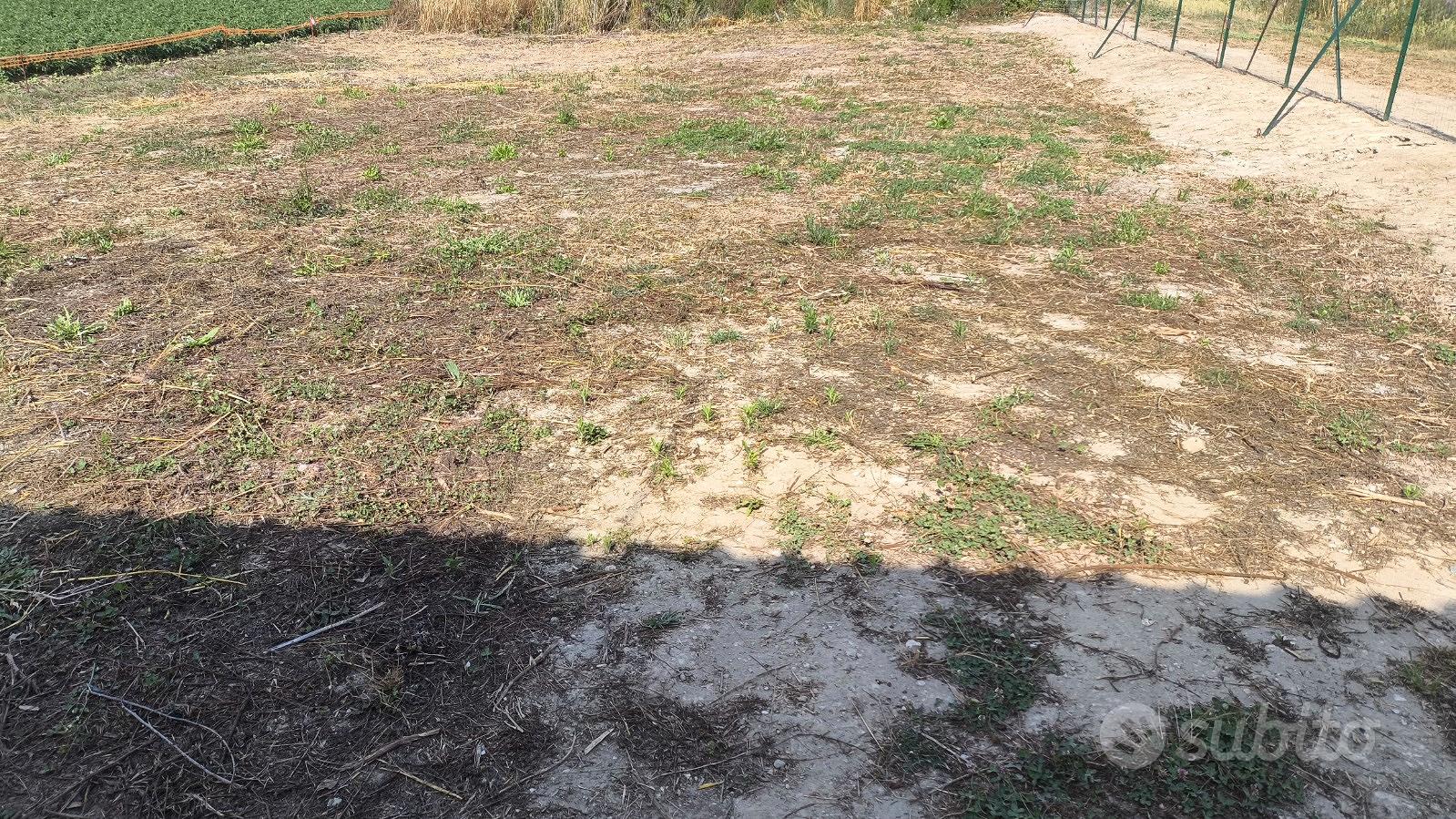 Terreno 428 - Vista 4