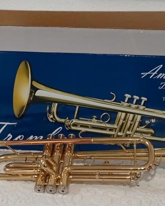 Tromba in sib strumento da studio.