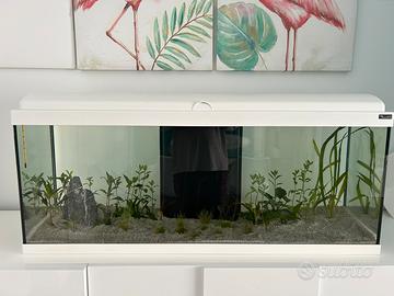 Acquario 100 lt