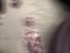Immagine 4