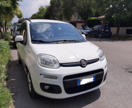Fiat Panda multijet 1,3 16v diesel