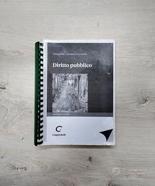 Diritto pubblico