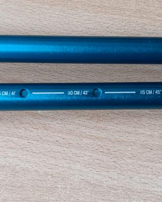 Bastoncini da trekking