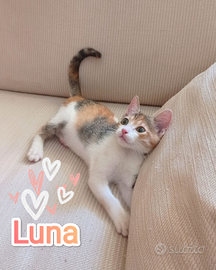 Luna