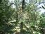 Immagine 6