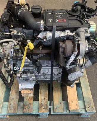 MOTORE SEMICOMPLETO FORD Fiesta 4° Serie 1149650