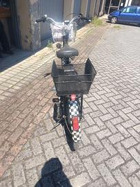 Bici elettrica