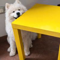 Tavolino IKEA LACK giallo vivace