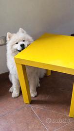 Tavolino IKEA LACK giallo vivace