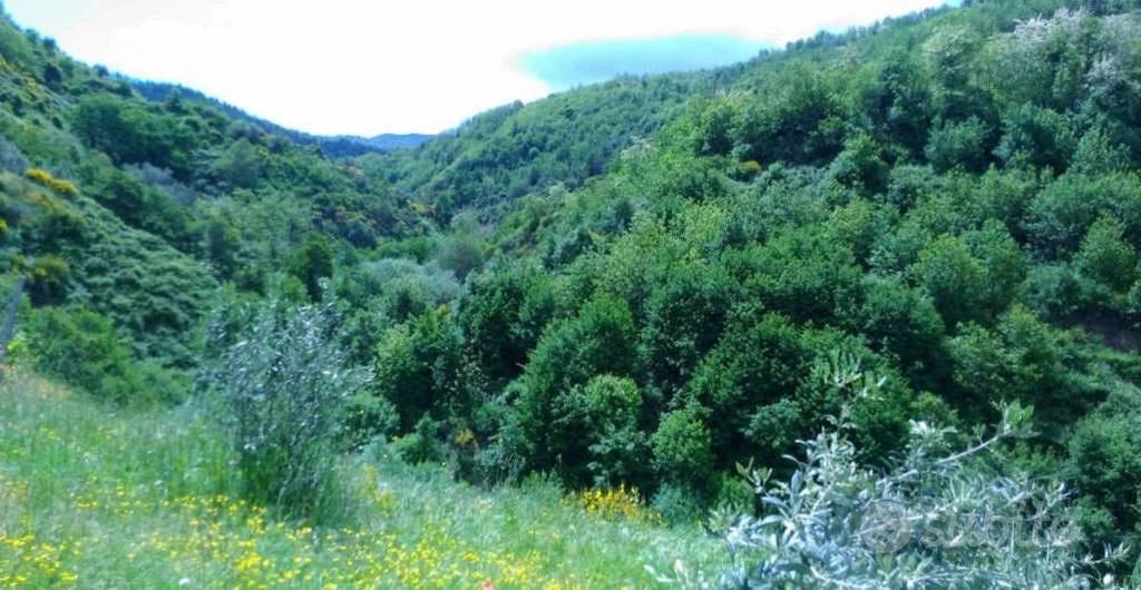 Immobile in asta di 10767 m² a Luzzi - Vista 2