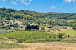 Azienda Vitivinicola in Sicilia