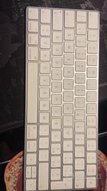 Magic Keyboard Apple tastiera wireless