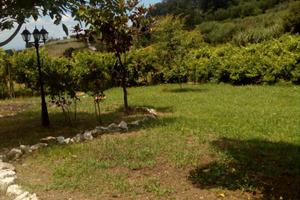 Terreno a Grottaferrata