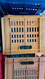 cassette di plastica resistenti