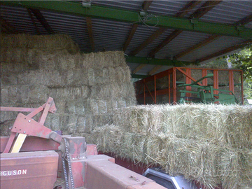 Ballete fieno primo taglio