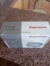 Raymarine DSM 30