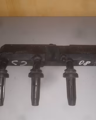 Bobina d'accensione monoblocco per Peugeot 206 - 