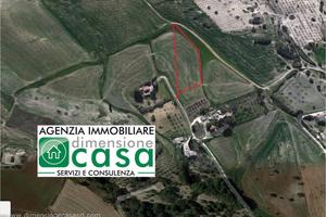 Rif.TA31-Terreno agricolo Caltanissetta