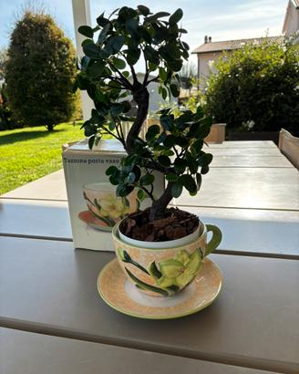 Simpatico portavaso Kasanova