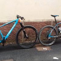 Torpado ribot s factory full carbon taglia L