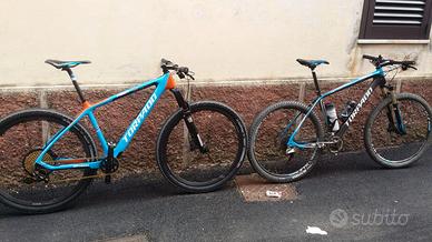 Torpado ribot s factory full carbon taglia L