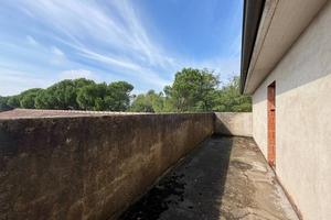 Immobile di 750 m² con 5 locali a Orgiano