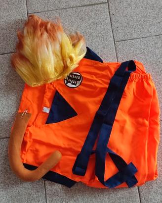 Costumi di carnevale