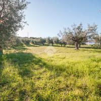 TER. RESIDENZIALE A ROSETO DEGLI ABRUZZI