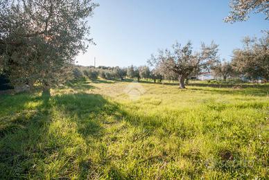 TER. RESIDENZIALE A ROSETO DEGLI ABRUZZI