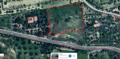 Terreno agricolo c.da BOLO