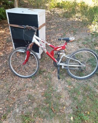 bicicletta 