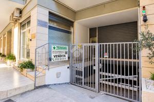 BOX A GROTTAMMARE