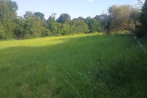 Terreno a Givoletto