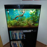 Acquario  askol