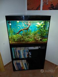 Acquario  askol