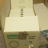 lampadina neon circolina 22W